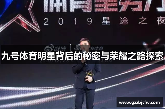 九号体育明星背后的秘密与荣耀之路探索