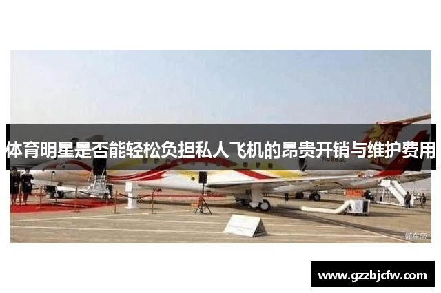 体育明星是否能轻松负担私人飞机的昂贵开销与维护费用