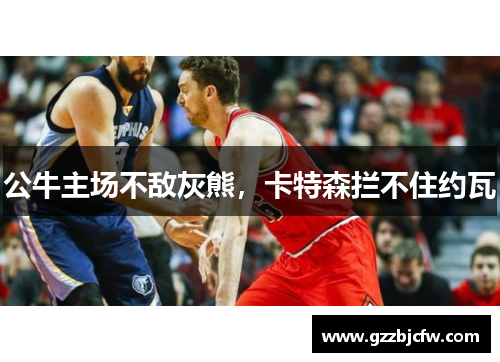 公牛主场不敌灰熊，卡特森拦不住约瓦