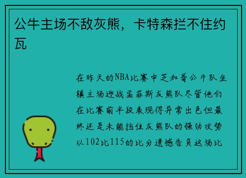 公牛主场不敌灰熊，卡特森拦不住约瓦